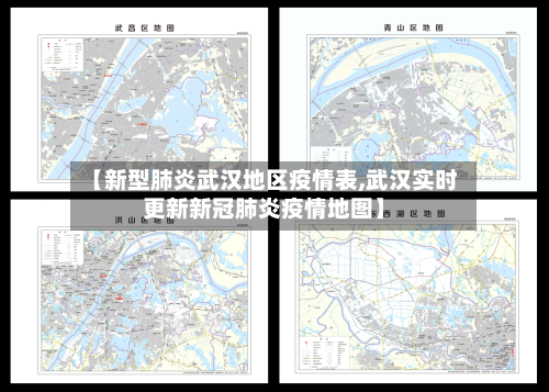 【新型肺炎武汉地区疫情表,武汉实时更新新冠肺炎疫情地图】-第3张图片