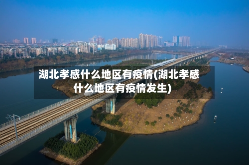 湖北孝感什么地区有疫情(湖北孝感什么地区有疫情发生)