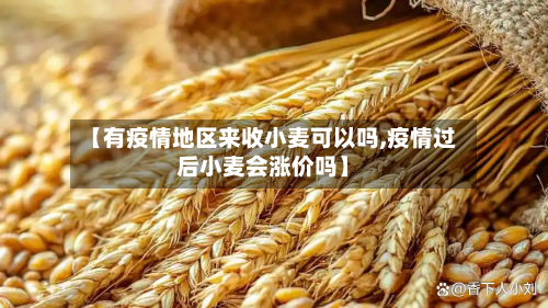 【有疫情地区来收小麦可以吗,疫情过后小麦会涨价吗】-第3张图片