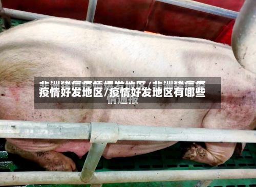 疫情好发地区/疫情好发地区有哪些-第3张图片