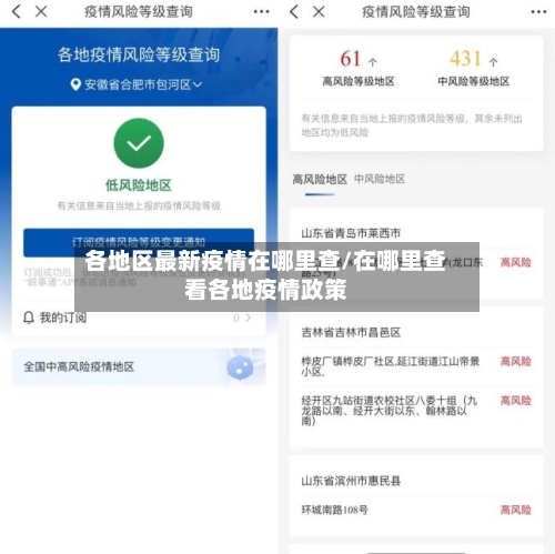 各地区最新疫情在哪里查/在哪里查看各地疫情政策
