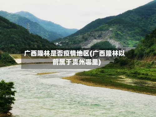 广西隆林是否疫情地区(广西隆林以前属于贵州哪里)-第3张图片