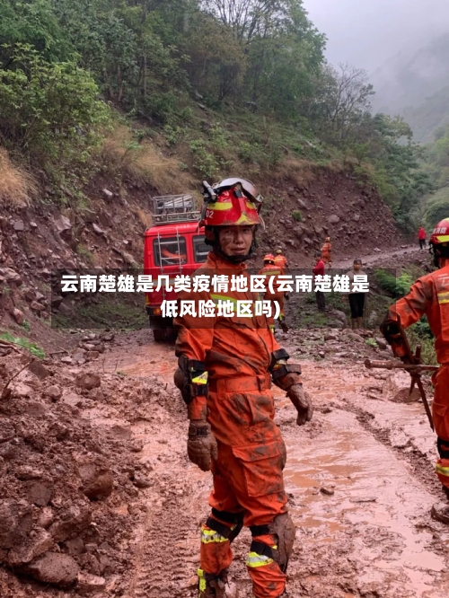 云南楚雄是几类疫情地区(云南楚雄是低风险地区吗)