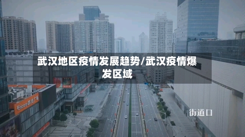 武汉地区疫情发展趋势/武汉疫情爆发区域