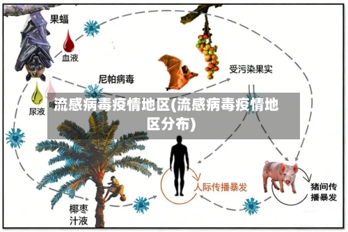 流感病毒疫情地区(流感病毒疫情地区分布)
