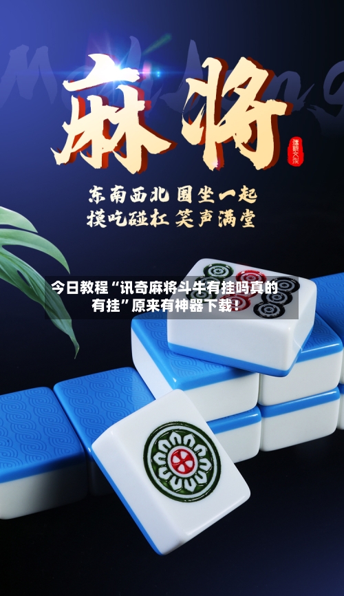 今日教程“讯奇麻将斗牛有挂吗真的有挂”原来有神器下载！-第3张图片