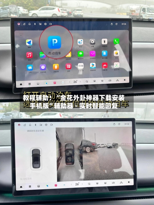 教程辅助！“金花外卦神器下载安装手机版”辅助器 - 实时智能回复-第2张图片