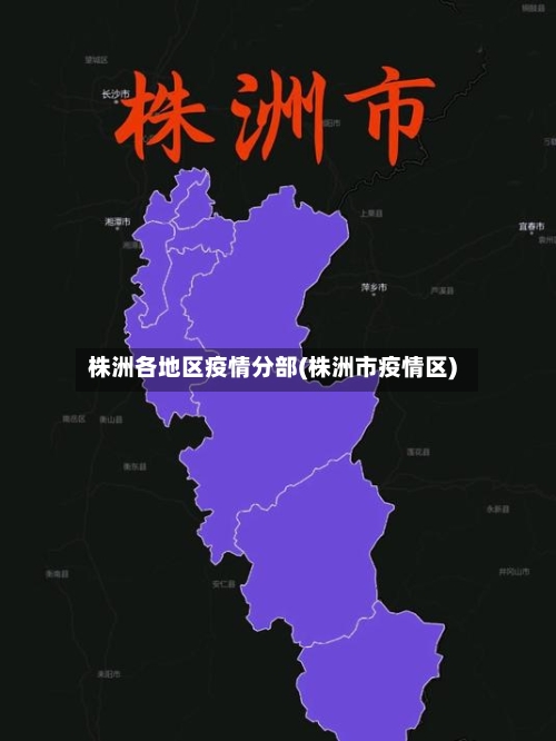 株洲各地区疫情分部(株洲市疫情区)-第2张图片