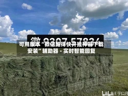 可用版本“微信跑得快开挂神器下载安装	”辅助器 - 实时智能回复-第2张图片