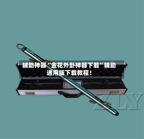 辅助神器“金花外卦神器下载”辅助通用版下载教程！-第2张图片