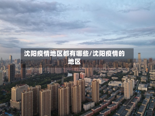 沈阳疫情地区都有哪些/沈阳疫情的地区-第2张图片