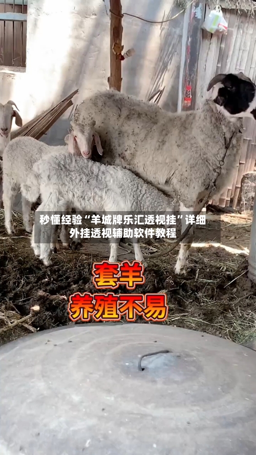 秒懂经验“羊城牌乐汇透视挂”详细外挂透视辅助软件教程-第2张图片