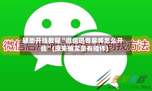 辅助开挂教程“微信迅奇麻将怎么开挂”(原来确实是有插件)-第2张图片