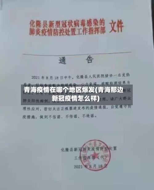 青海疫情在哪个地区爆发(青海那边新冠疫情怎么样)-第2张图片