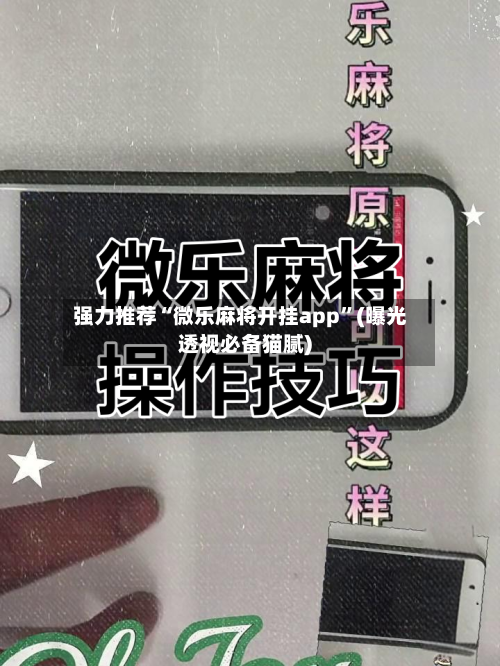 强力推荐“微乐麻将开挂app”(曝光透视必备猫腻)