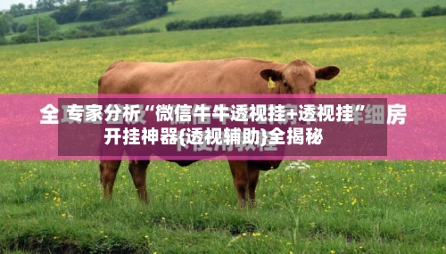 专家分析“微信牛牛透视挂+透视挂”开挂神器{透视辅助}全揭秘-第2张图片