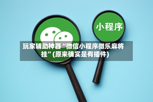 玩家辅助神器“微信小程序微乐麻将挂”(原来确实是有插件)