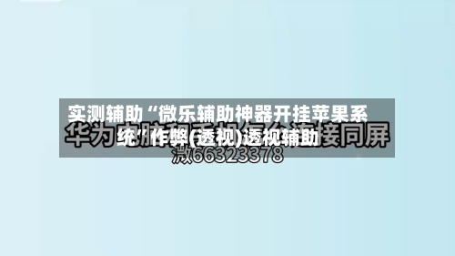 实测辅助“微乐辅助神器开挂苹果系统”作弊(透视)透视辅助