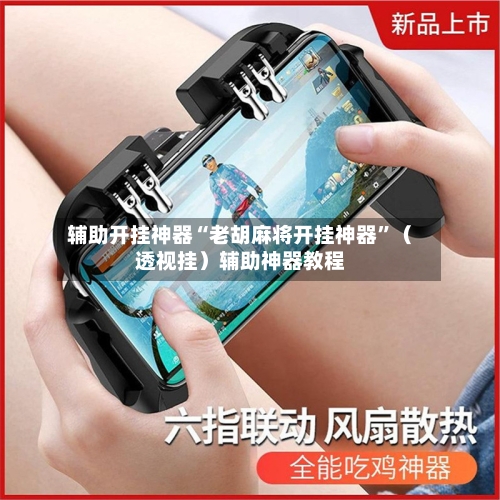 辅助开挂神器“老胡麻将开挂神器	”（透视挂）辅助神器教程-第2张图片