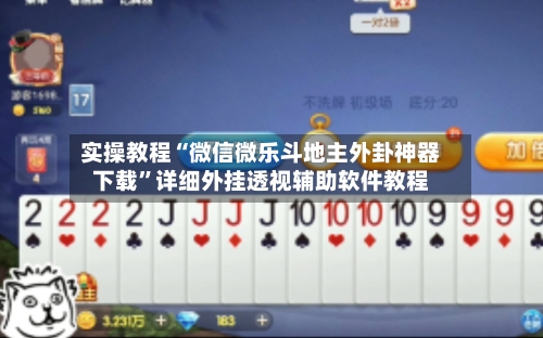 实操教程“微信微乐斗地主外卦神器下载”详细外挂透视辅助软件教程-第3张图片