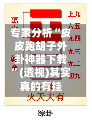 专家分析“皮皮跑胡子外卦神器下载”(透视)其实真的有挂-第3张图片