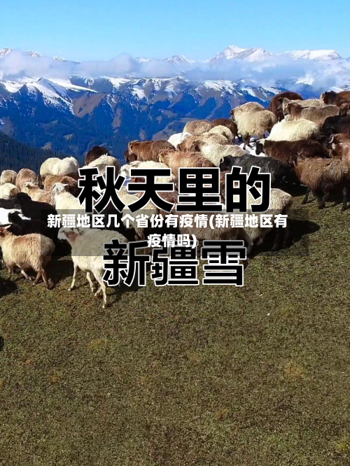 新疆地区几个省份有疫情(新疆地区有疫情吗)-第2张图片