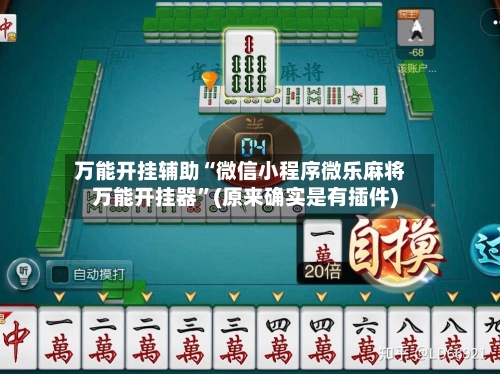 万能开挂辅助“微信小程序微乐麻将万能开挂器”(原来确实是有插件)-第3张图片