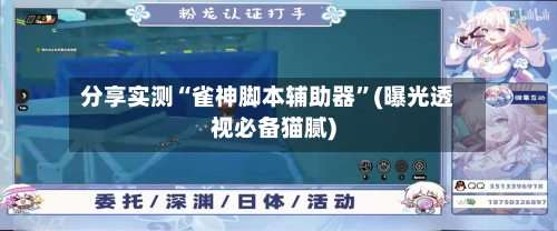 分享实测“雀神脚本辅助器”(曝光透视必备猫腻)-第3张图片