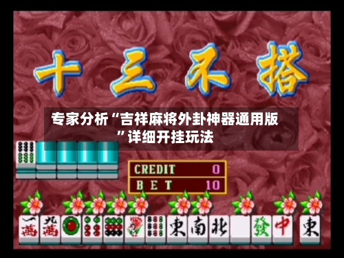 专家分析“吉祥麻将外卦神器通用版	”详细开挂玩法-第2张图片