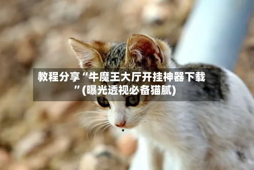 教程分享“牛魔王大厅开挂神器下载”(曝光透视必备猫腻)-第2张图片