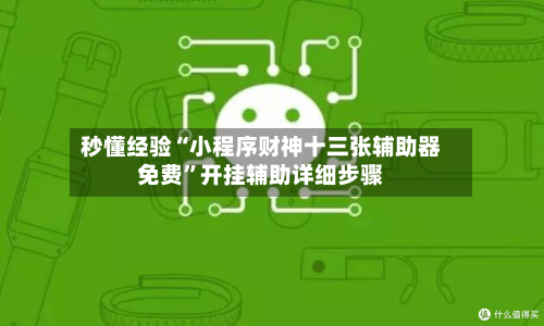 秒懂经验“小程序财神十三张辅助器免费”开挂辅助详细步骤-第2张图片