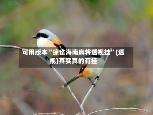 可用版本“琼雀海南麻将透视挂”(透视)其实真的有挂-第2张图片