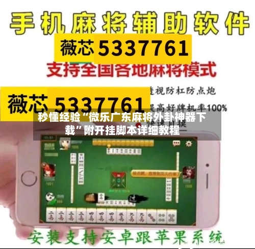 秒懂经验“微乐广东麻将外卦神器下载”附开挂脚本详细教程-第3张图片