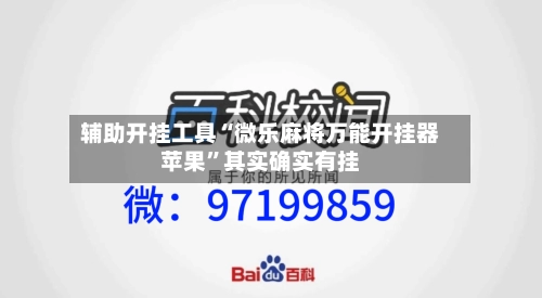 辅助开挂工具“微乐麻将万能开挂器苹果”其实确实有挂-第3张图片