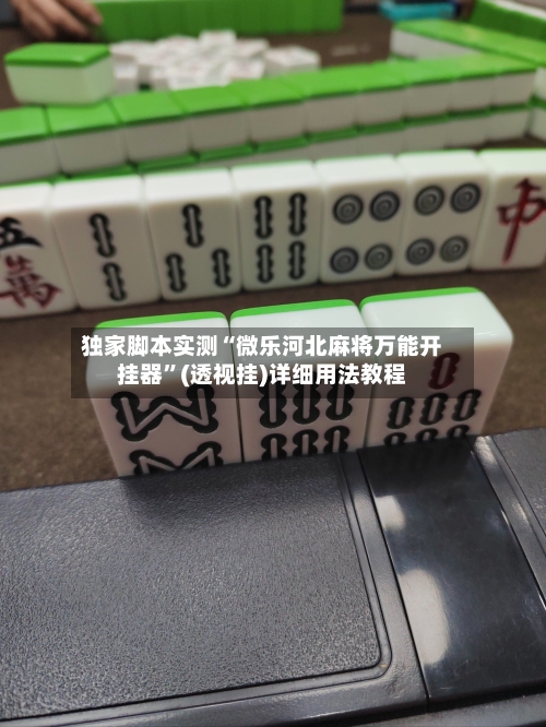 独家脚本实测“微乐河北麻将万能开挂器”(透视挂)详细用法教程-第2张图片