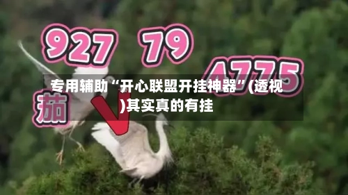 专用辅助“开心联盟开挂神器	”(透视)其实真的有挂-第2张图片