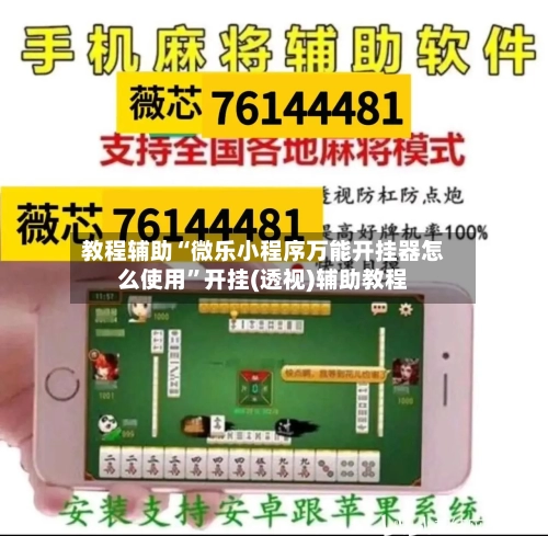 教程辅助“微乐小程序万能开挂器怎么使用”开挂(透视)辅助教程-第3张图片