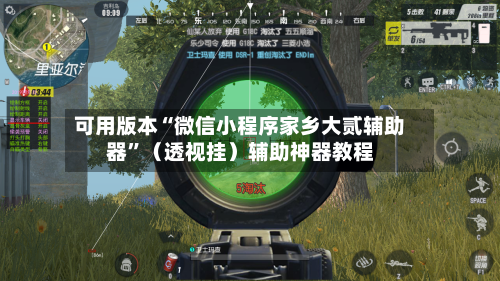 可用版本“微信小程序家乡大贰辅助器”（透视挂）辅助神器教程-第2张图片