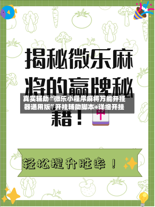 真实辅助“微乐小程序麻将万能开挂器通用版”开挂辅助脚本+详细开挂-第3张图片