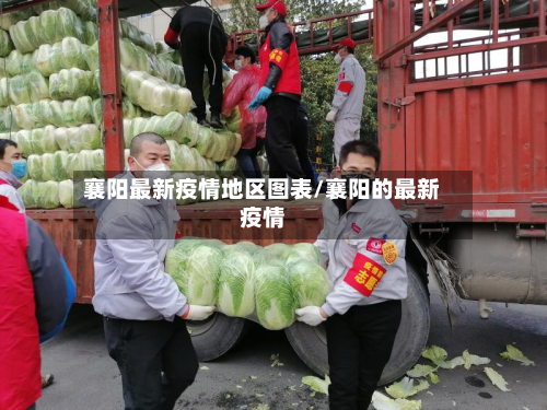 襄阳最新疫情地区图表/襄阳的最新疫情-第2张图片