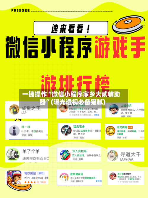 一键操作“微信小程序家乡大贰辅助器”(曝光透视必备猫腻)