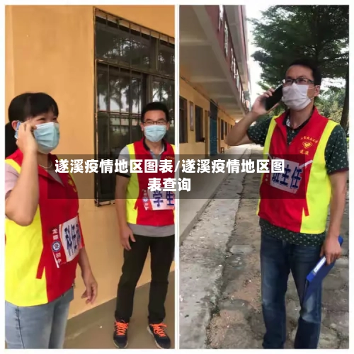 遂溪疫情地区图表/遂溪疫情地区图表查询-第3张图片