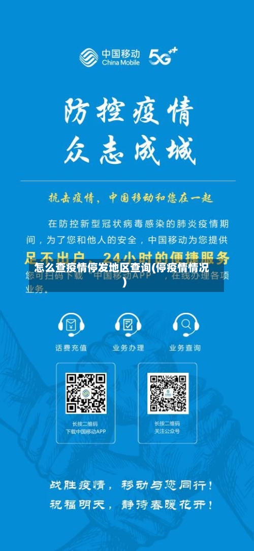 怎么查疫情停发地区查询(停疫情情况)