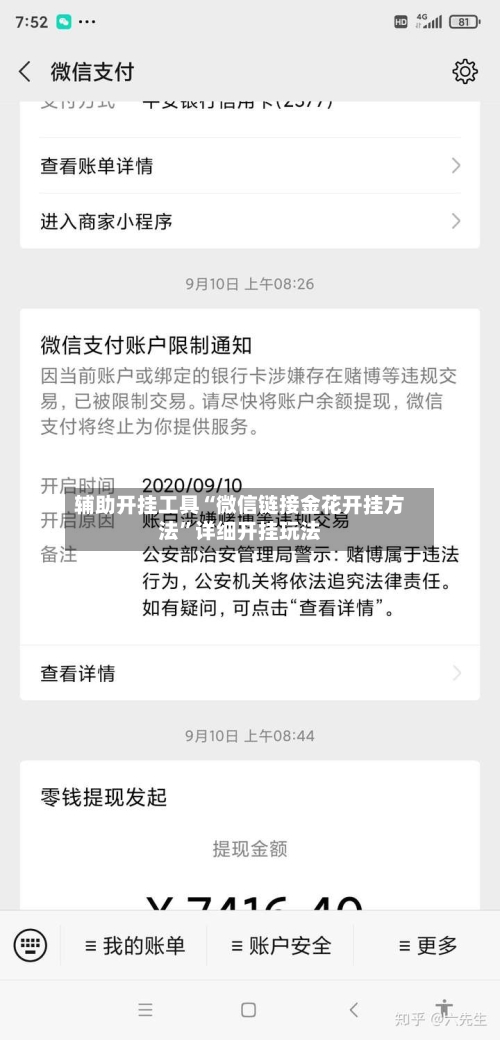 辅助开挂工具“微信链接金花开挂方法”详细开挂玩法-第3张图片