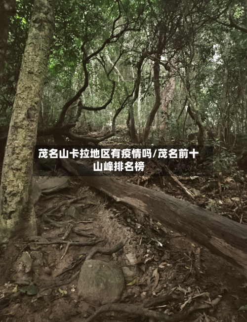 茂名山卡拉地区有疫情吗/茂名前十山峰排名榜-第3张图片