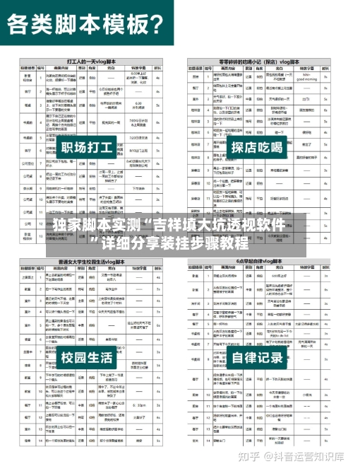 独家脚本实测“吉祥填大坑透视软件”详细分享装挂步骤教程-第3张图片