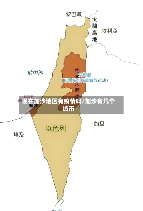 现在加沙地区有疫情吗/加沙有几个城市-第3张图片
