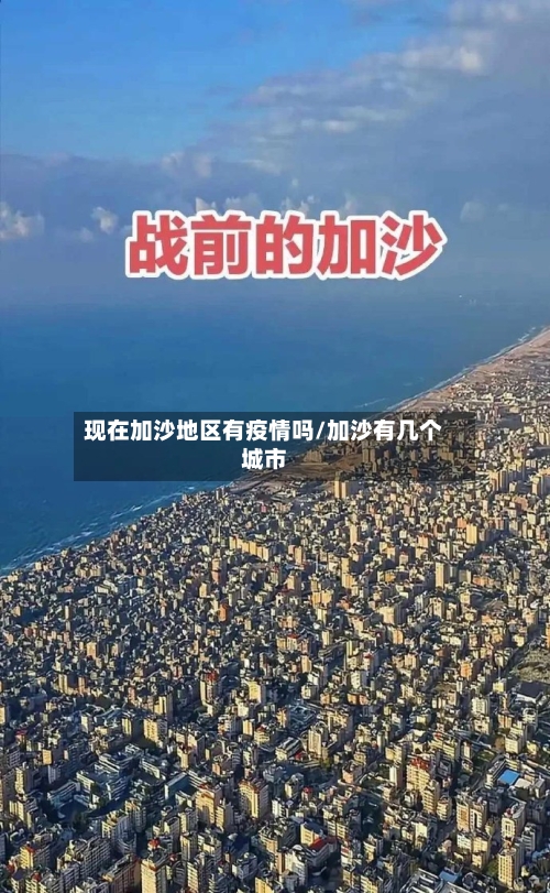现在加沙地区有疫情吗/加沙有几个城市-第2张图片