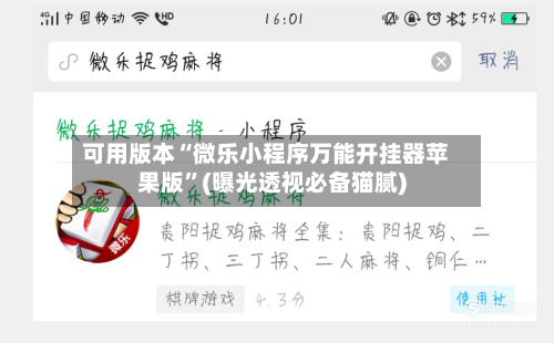 可用版本“微乐小程序万能开挂器苹果版	”(曝光透视必备猫腻)-第3张图片
