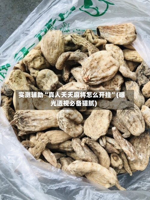 实测辅助“真人天天麻将怎么开挂	”(曝光透视必备猫腻)-第2张图片